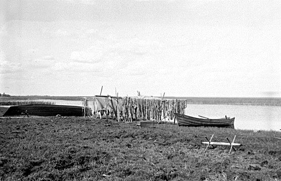 File:Järveküla kalasadam Võrtsjärve õhtukaldal Tarvastu kihelkond [Eesti Rahva Muuseum 630-62_www.muis.ee].jpg